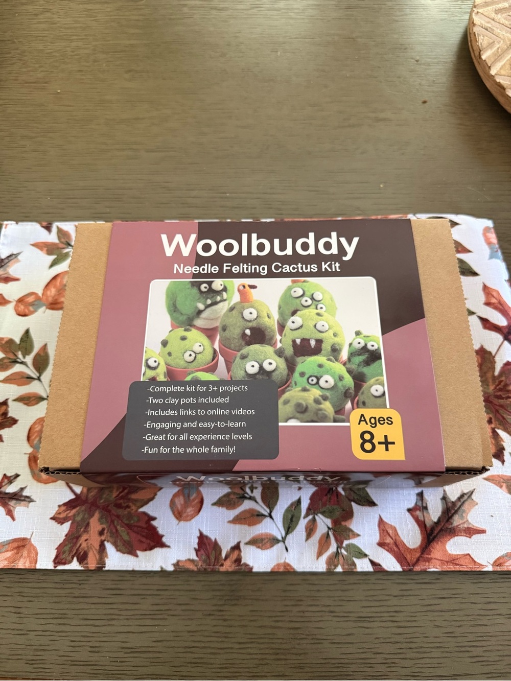 🌵 Woolbuddy Needle Felting Cactus Kit — NEW 🌵